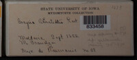 Image Associated With the Occurence